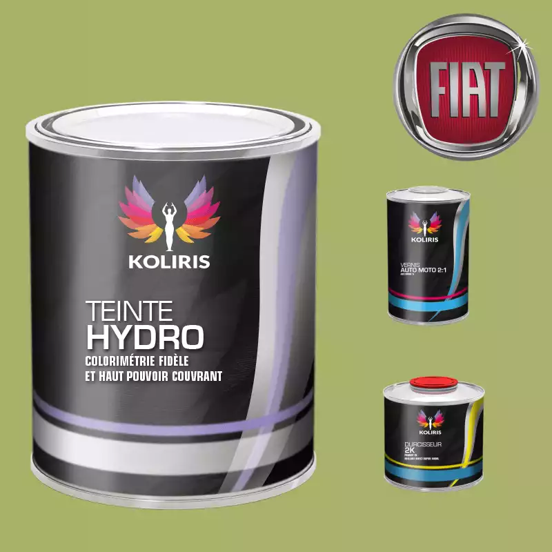 Kit peinture et vernis voiture hydro Fiat