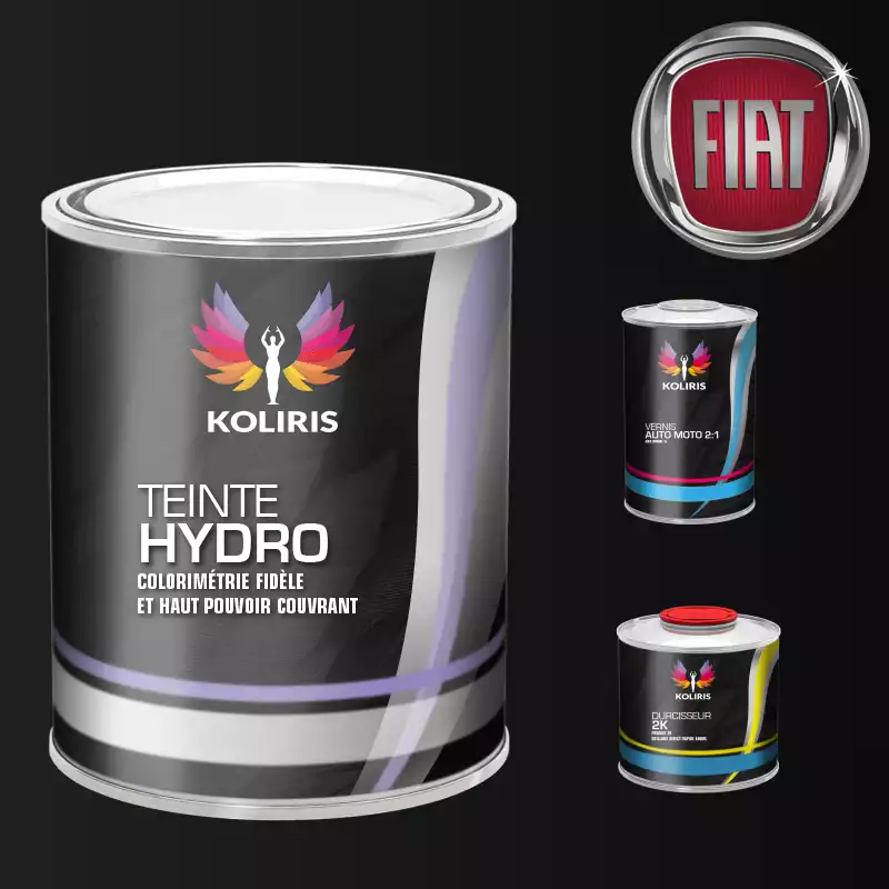 Kit peinture et vernis voiture hydro Fiat