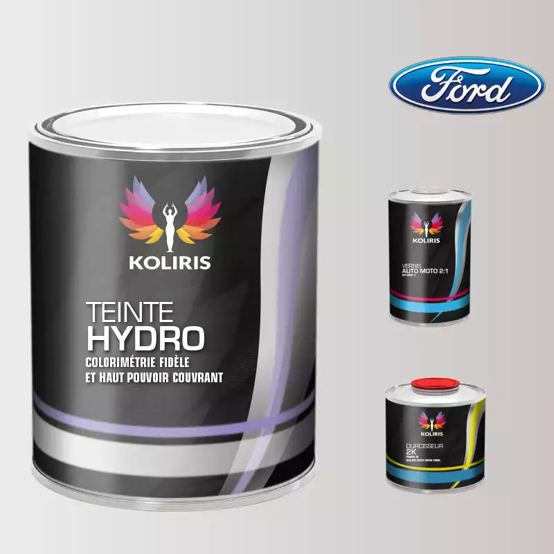 Kit peinture et vernis voiture hydro Ford