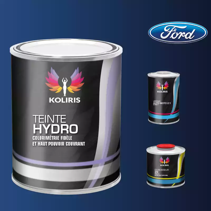 Kit peinture et vernis voiture hydro Ford