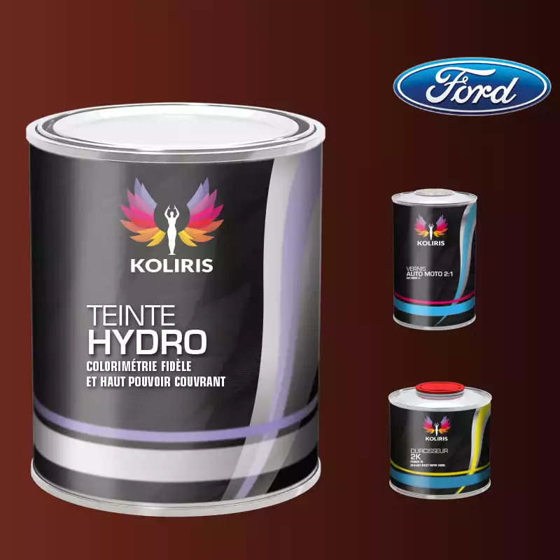 Kit peinture et vernis voiture hydro Ford