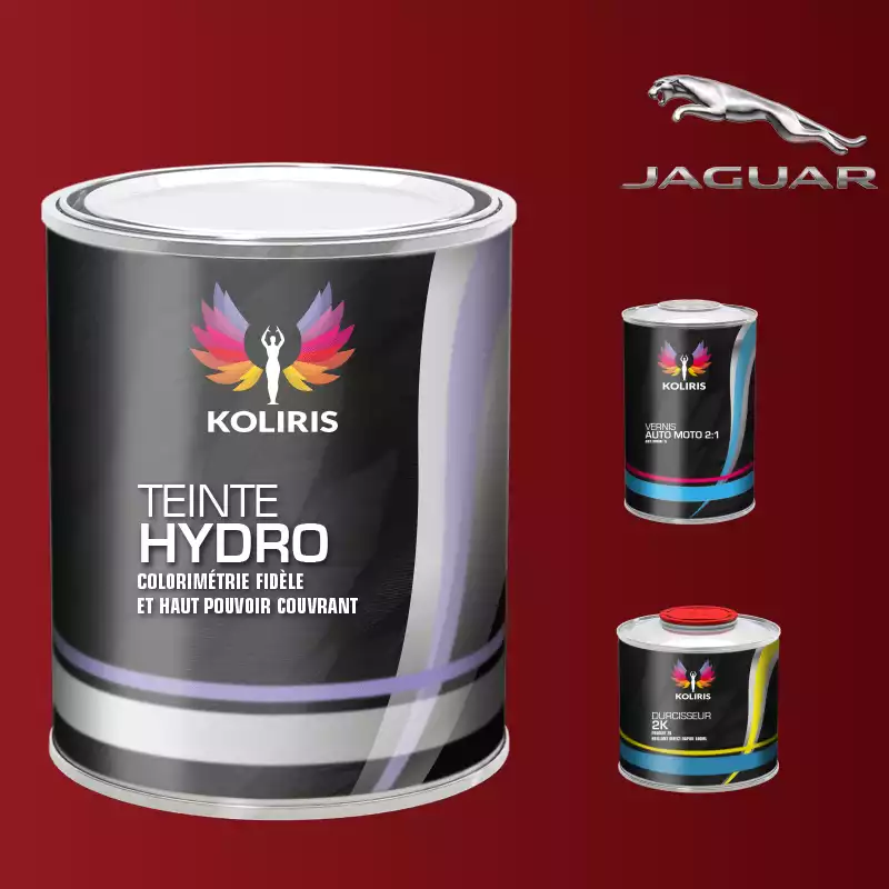 Kit peinture et vernis voiture hydro Jaguar