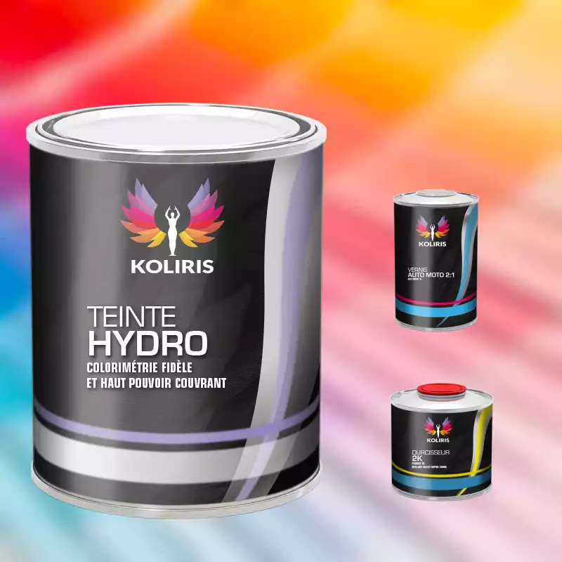 Kit peinture et vernis voiture hydro Porsche