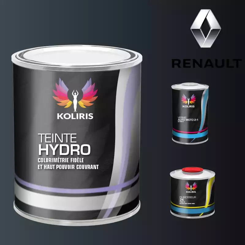Kit peinture et vernis voiture hydro Renault