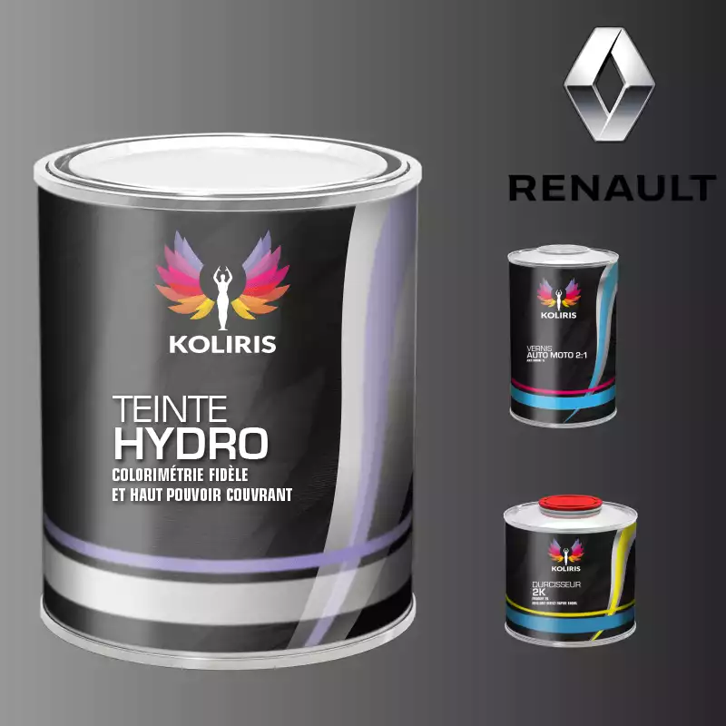 Kit peinture et vernis voiture hydro Renault