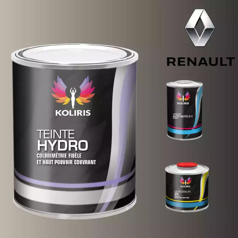 Kit peinture et vernis voiture hydro Renault