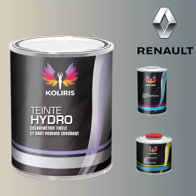 Kit peinture et vernis voiture hydro Renault