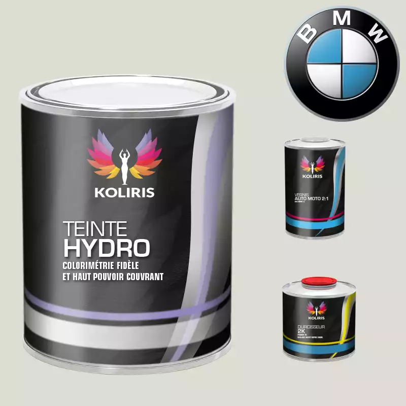 Kit peinture et vernis moto hydro Bmw Moto