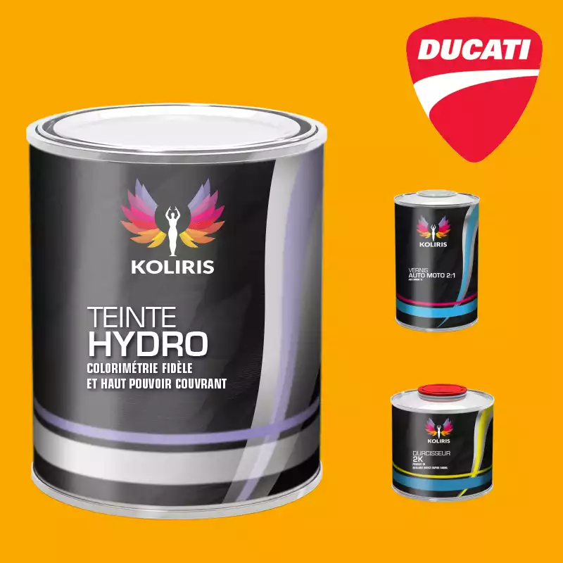 Kit peinture et vernis moto hydro Ducati Moto