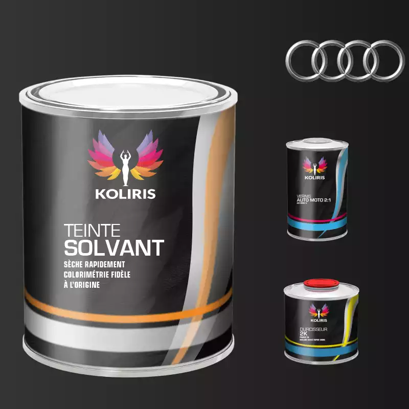 Kit peinture et vernis voiture solvant Audi