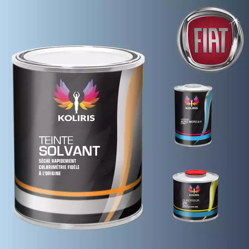 Kit peinture et vernis voiture solvant Fiat
