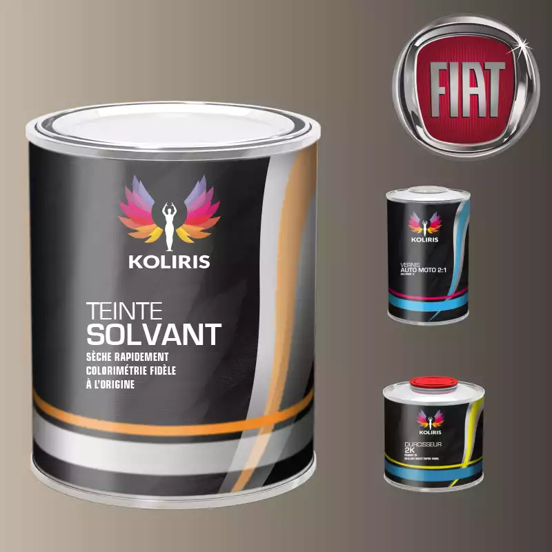 Kit peinture et vernis voiture solvant Fiat