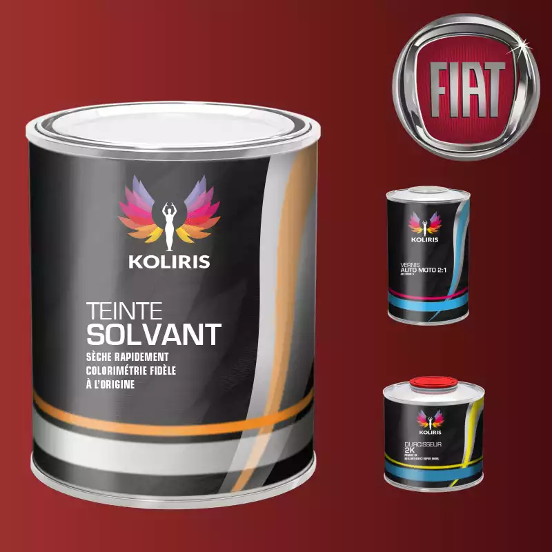 Kit peinture et vernis voiture solvant Fiat