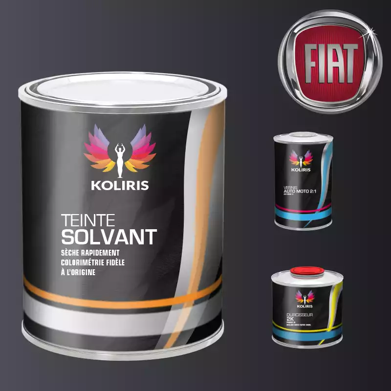 Kit peinture et vernis voiture solvant Fiat