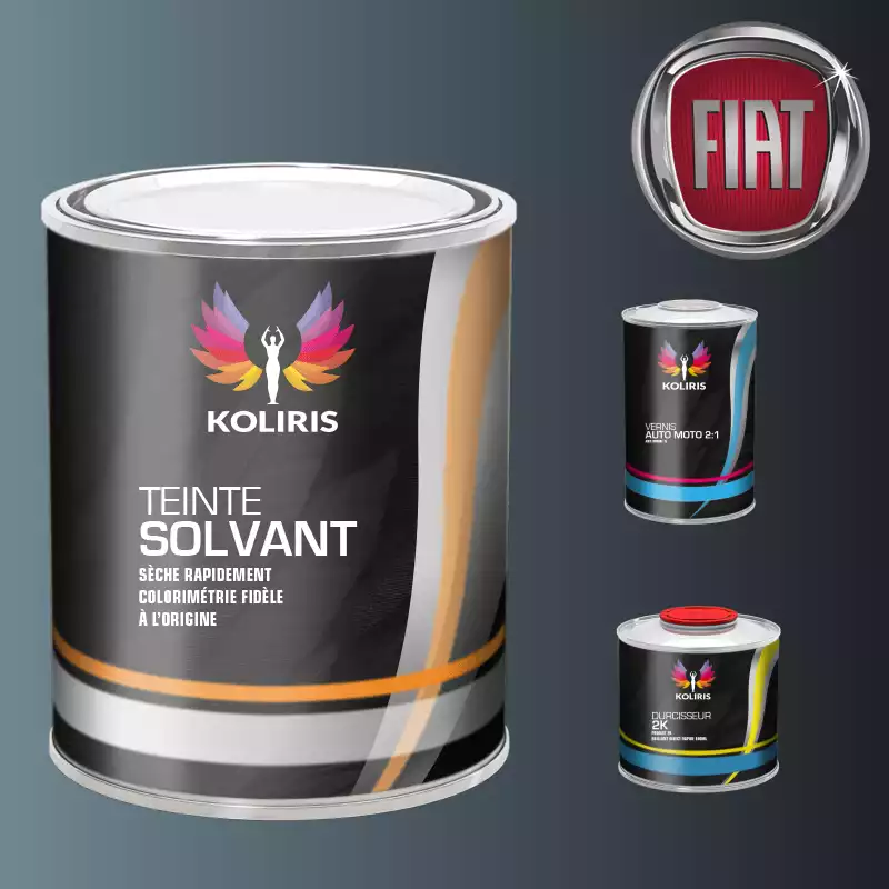 Kit peinture et vernis voiture solvant Fiat