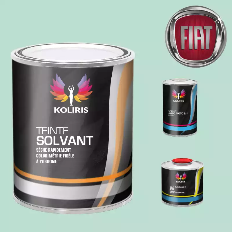 Kit peinture et vernis voiture solvant Fiat