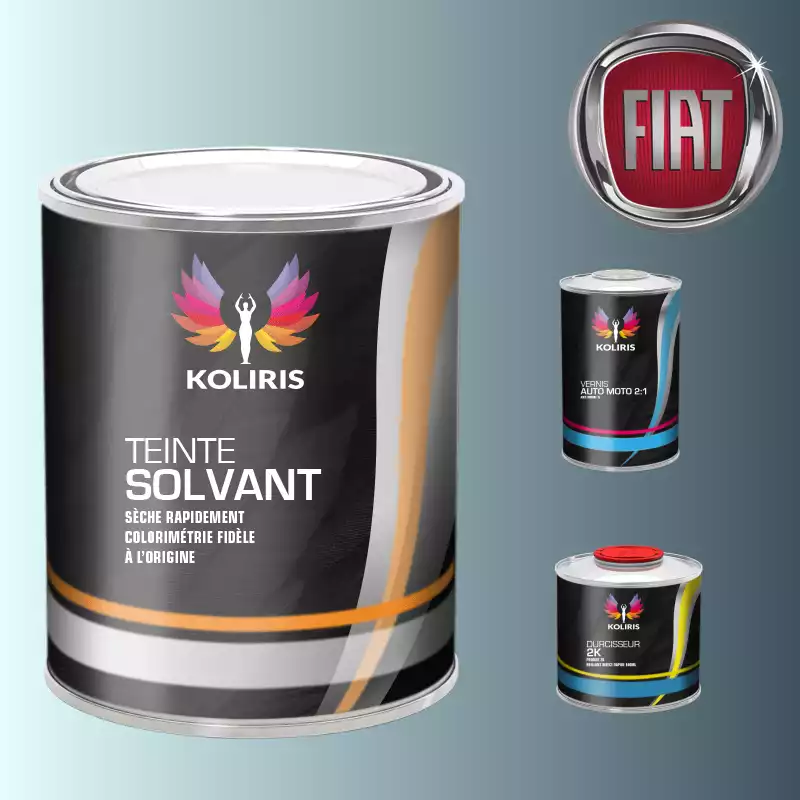 Kit peinture et vernis voiture solvant Fiat