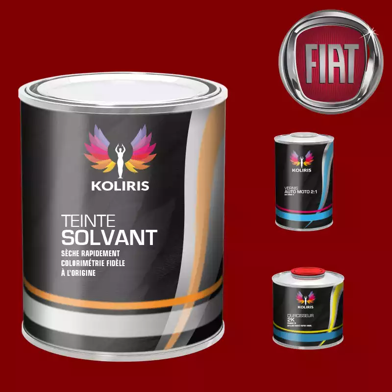 Kit peinture et vernis voiture solvant Fiat