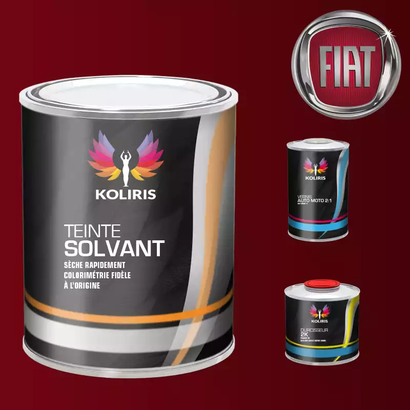 Kit peinture et vernis voiture solvant Fiat