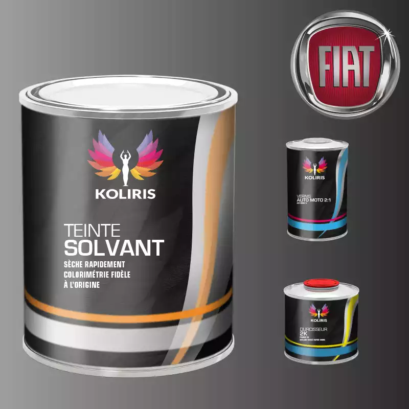 Kit peinture et vernis voiture solvant Fiat
