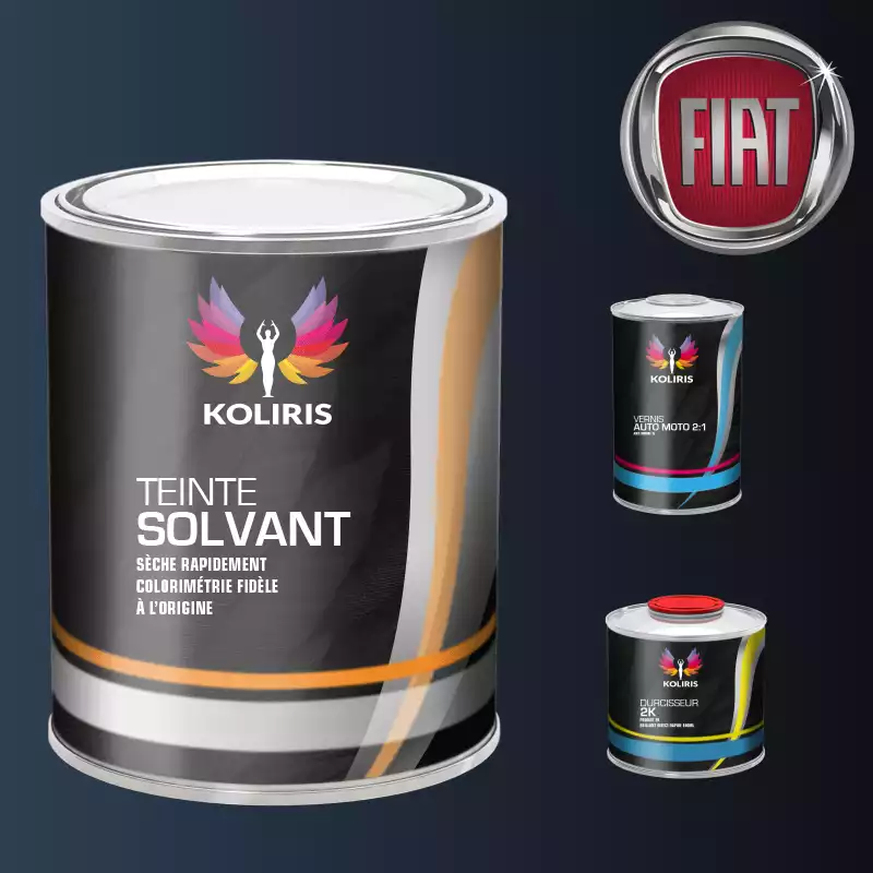 Kit peinture et vernis voiture solvant Fiat