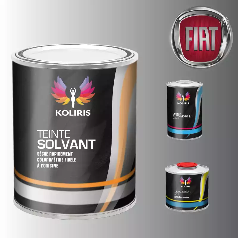 Kit peinture et vernis voiture solvant Fiat