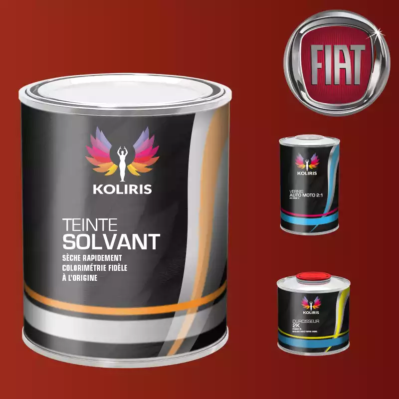 Kit peinture et vernis voiture solvant Fiat