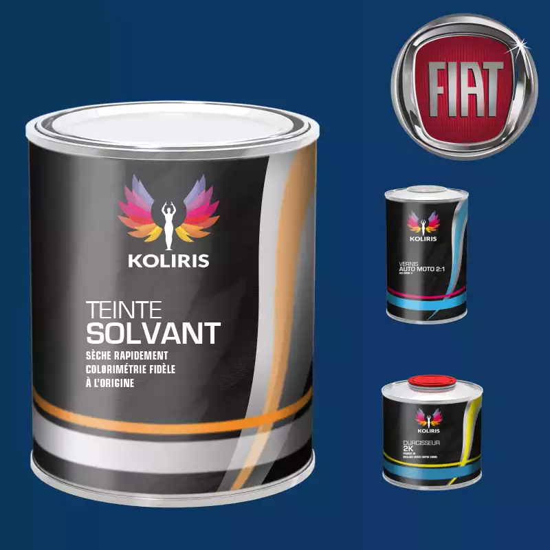 Kit peinture et vernis voiture solvant Fiat