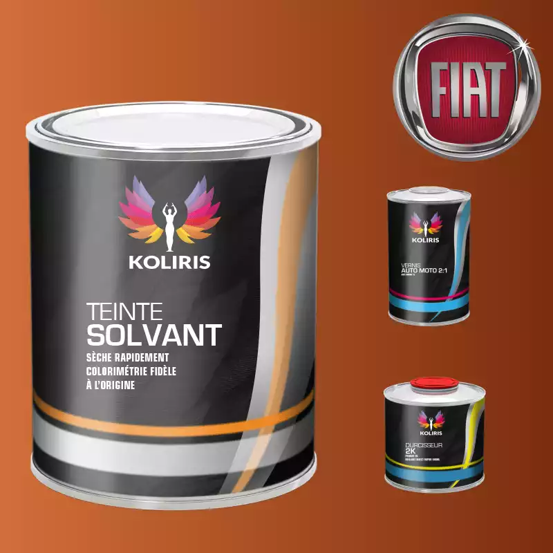 Kit peinture et vernis voiture solvant Fiat