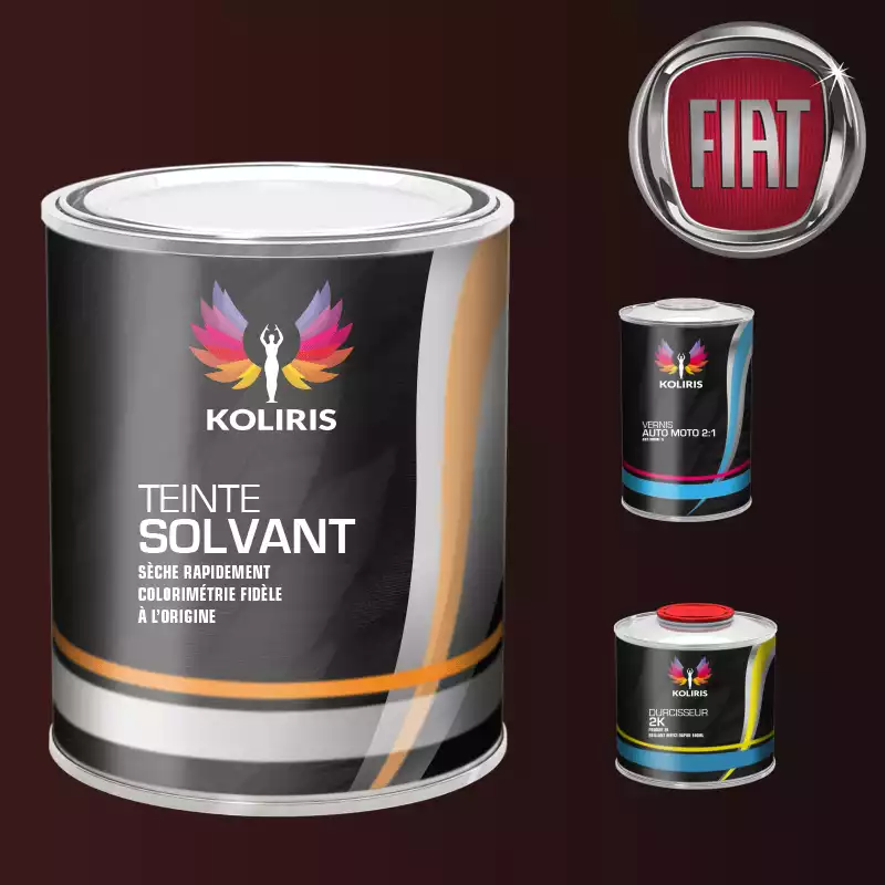 Kit peinture et vernis voiture solvant Fiat