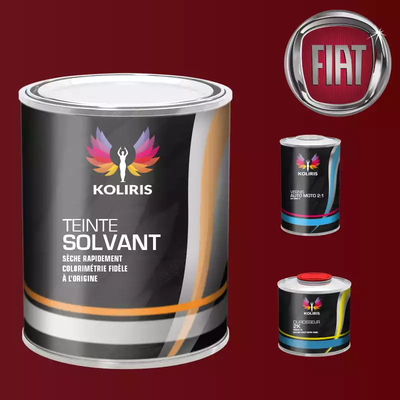 Kit peinture et vernis voiture solvant Fiat