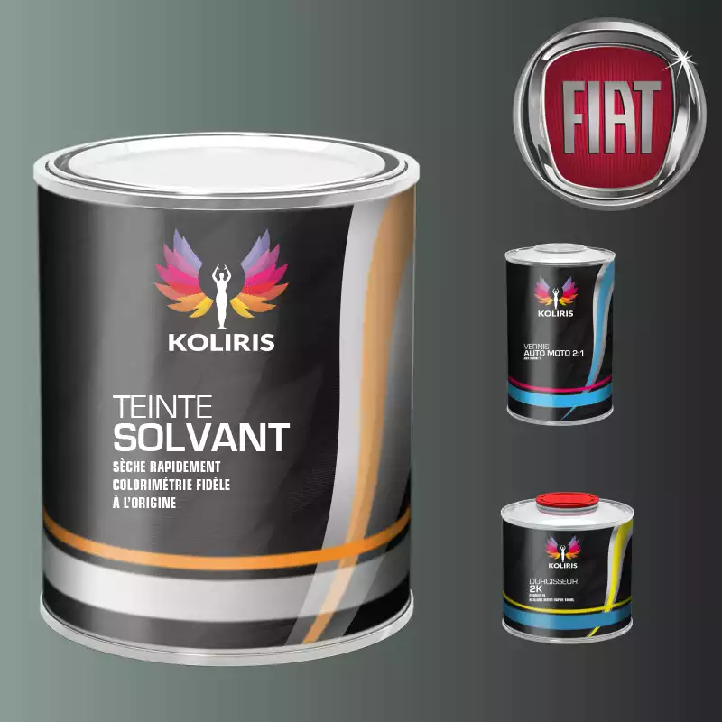 Kit peinture et vernis voiture solvant Fiat