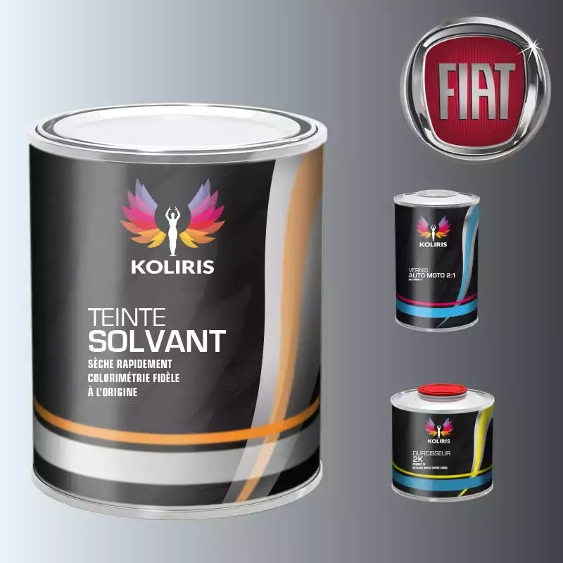 Kit peinture et vernis voiture solvant Fiat