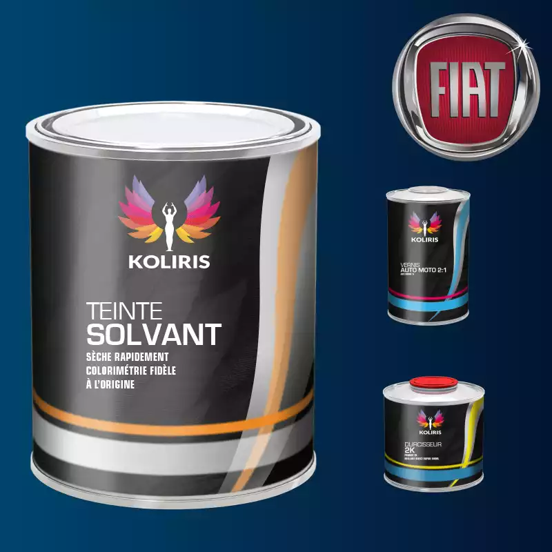 Kit peinture et vernis voiture solvant Fiat