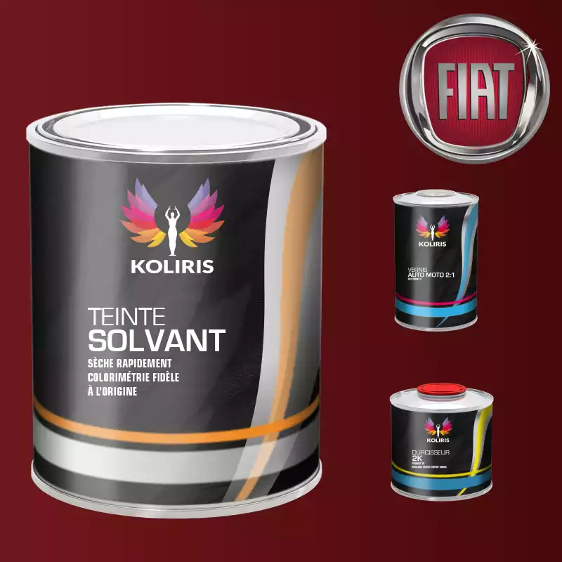 Kit peinture et vernis voiture solvant Fiat