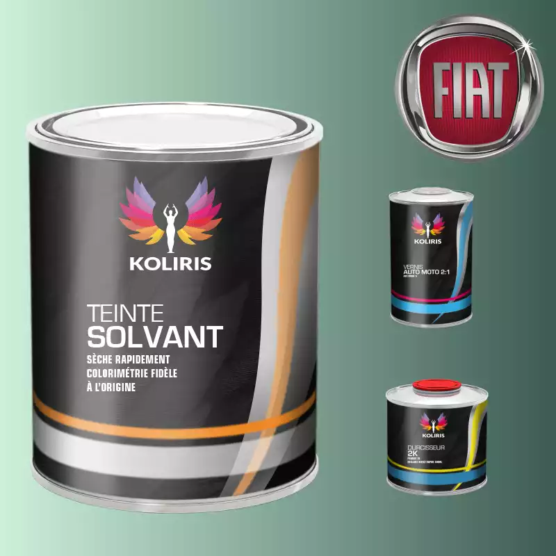 Kit peinture et vernis voiture solvant Fiat