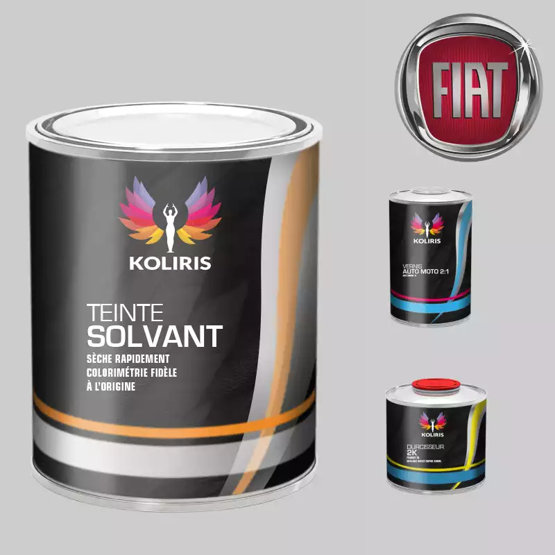 Kit peinture et vernis voiture solvant Fiat