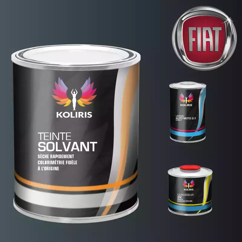 Kit peinture et vernis voiture solvant Fiat