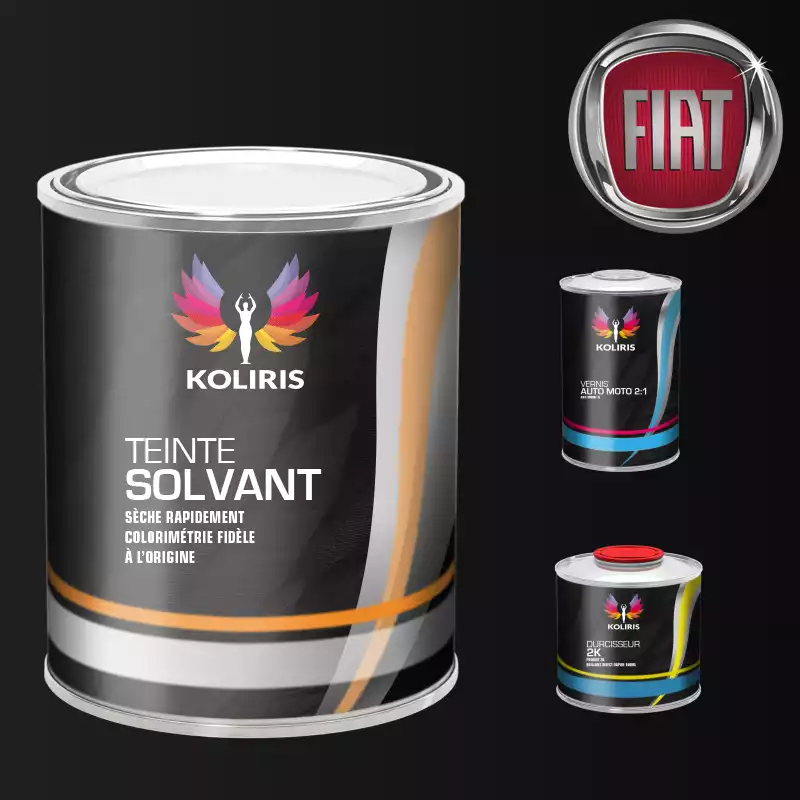 Kit peinture et vernis voiture solvant Fiat