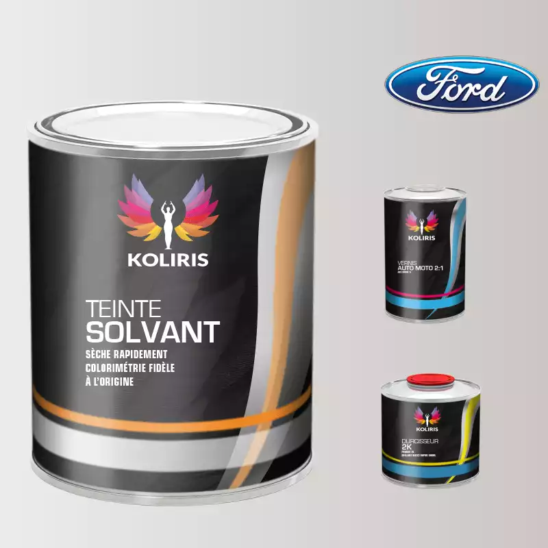 Kit peinture et vernis voiture solvant Ford