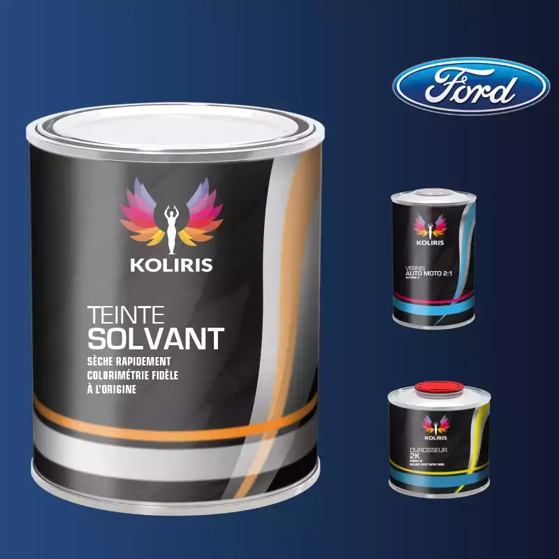 Kit peinture et vernis voiture solvant Ford