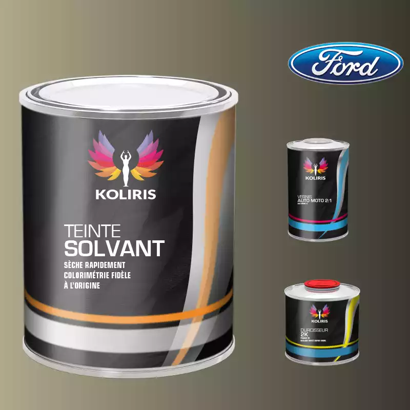 Kit peinture et vernis voiture solvant Ford