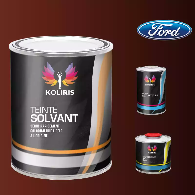 Kit peinture et vernis voiture solvant Ford