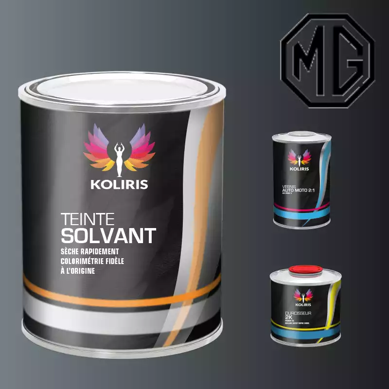 Kit peinture et vernis voiture solvant Mg