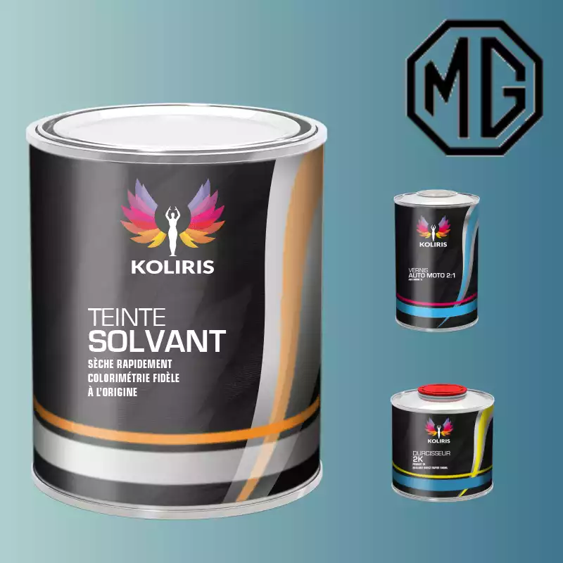 Kit peinture et vernis voiture solvant Mg