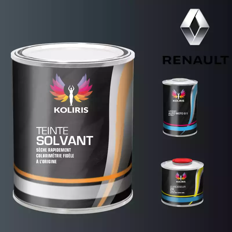 Kit peinture et vernis voiture solvant Renault