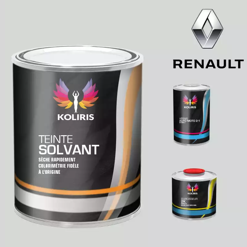 Kit peinture et vernis voiture solvant Renault