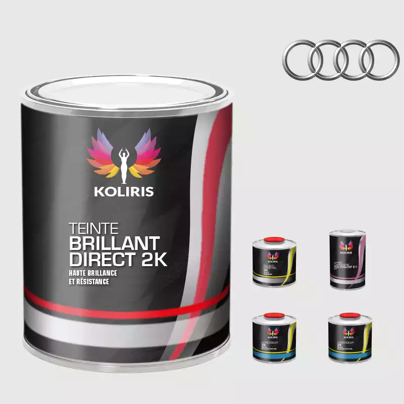 Pack peinture et primaire voiture brillant direct VOC420 Audi