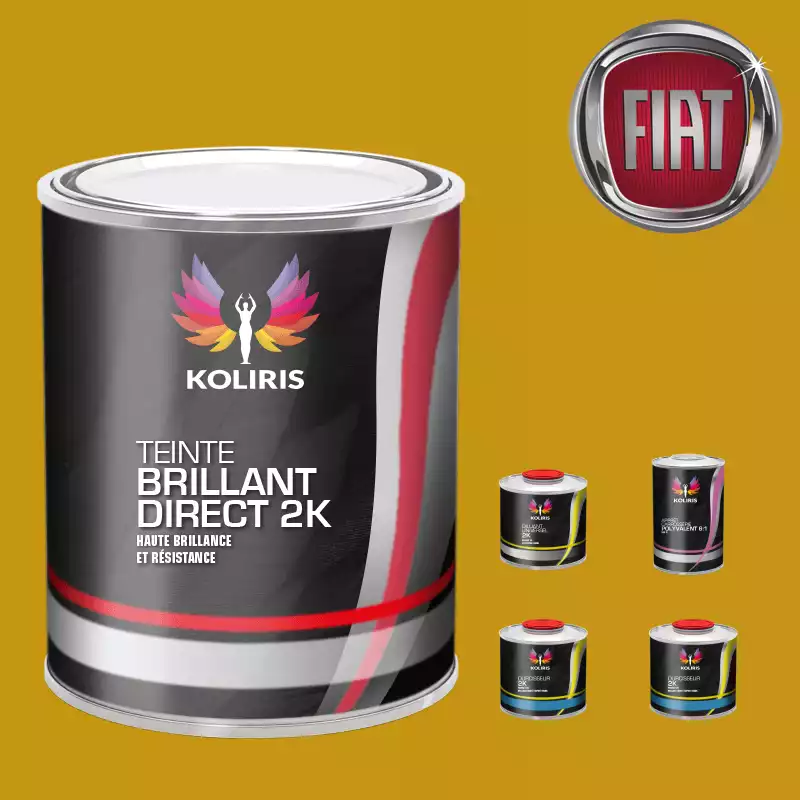Pack peinture et primaire voiture brillant direct VOC420 Fiat