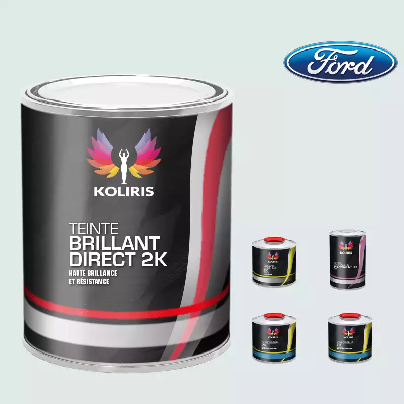 Pack peinture et primaire voiture brillant direct VOC420 Ford